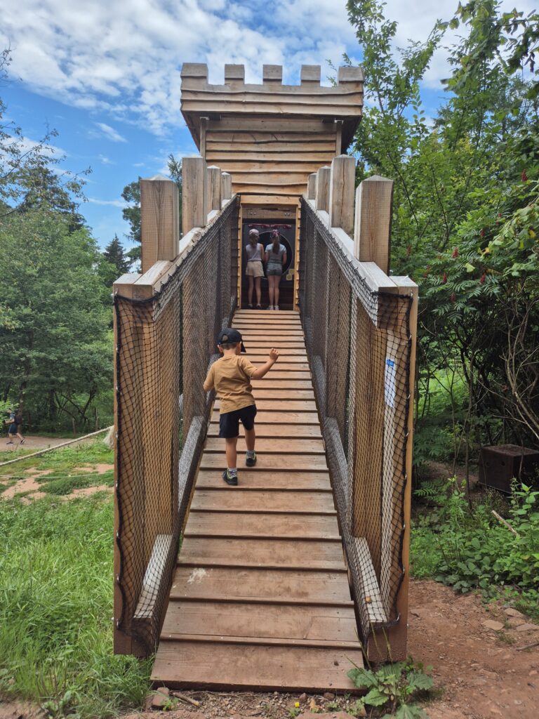 Château Fleckenstein - Nouveau parcours 2024 - Toboggan