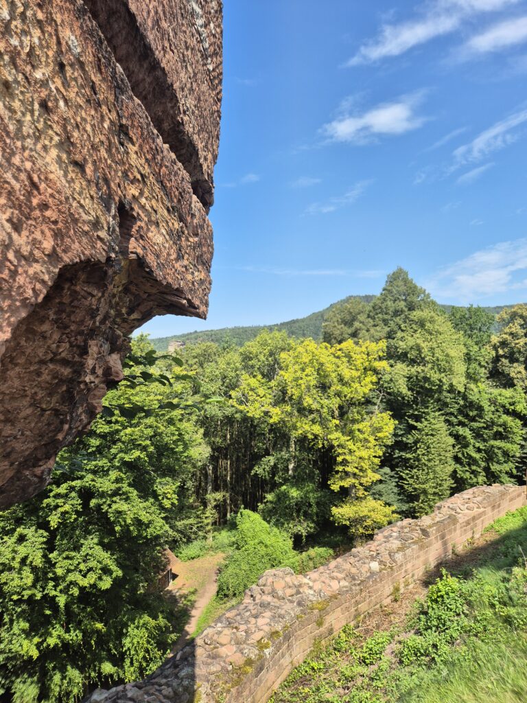 Château Fleckenstein - Vue