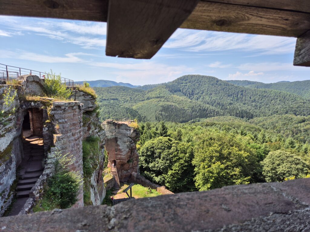 Château Fleckenstein - Point de vue