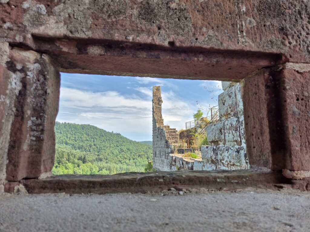 Château Fleckenstein - Vue