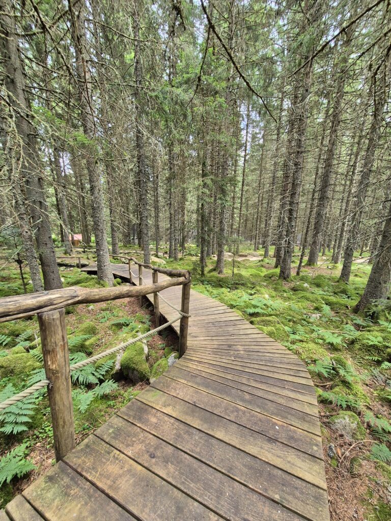 Lac Blanc Parc d'Aventures - sentier pieds nus - chemin en bois