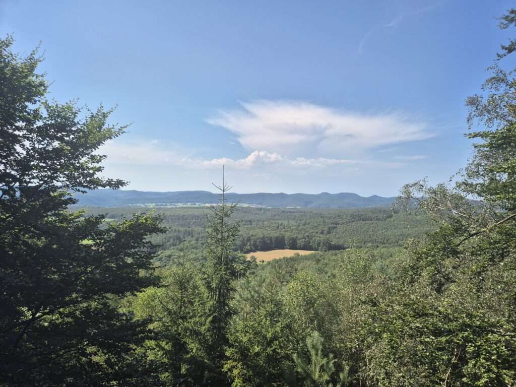 Point de vue Chemin des cimes Alsace