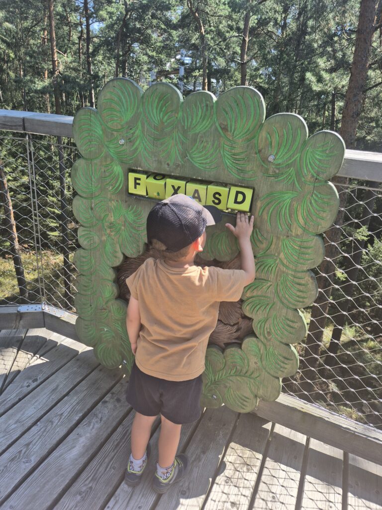 Jeux enfants Chemin des cimes Alsace