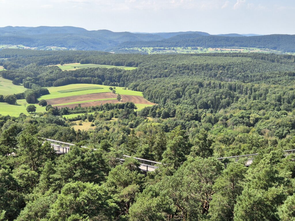 Panorama Chemin des cimes Alsace