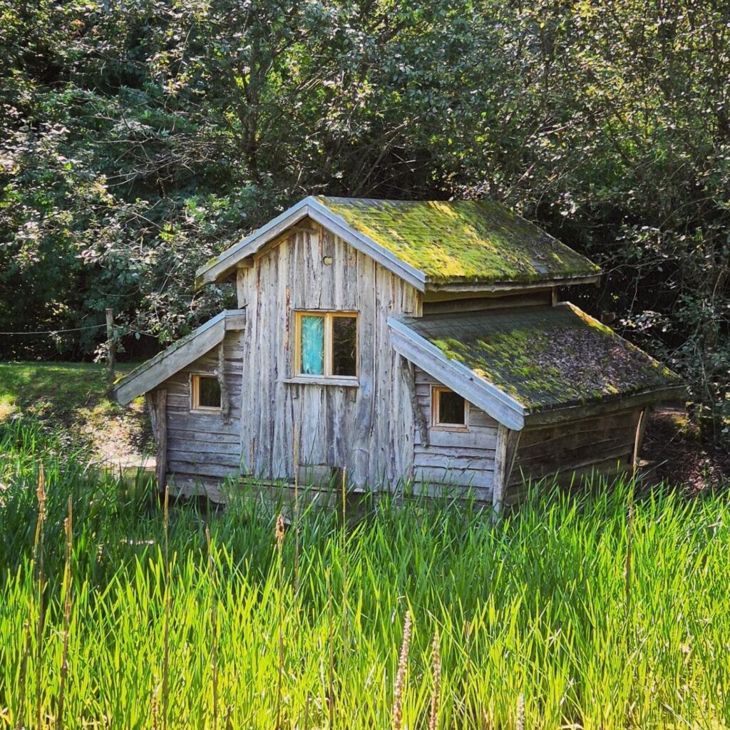 cabane insolite sur l'eau - ferme aventure