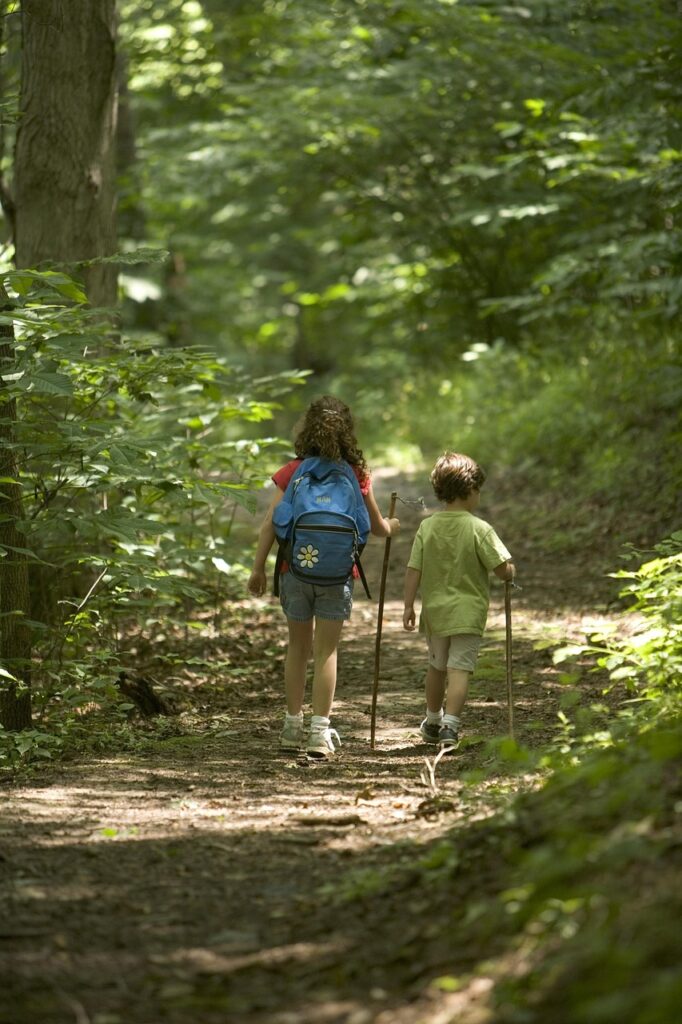 forest, hiking, kids, children, people, hiking, hiking, hiking, hiking, hiking, children, nature, children, children