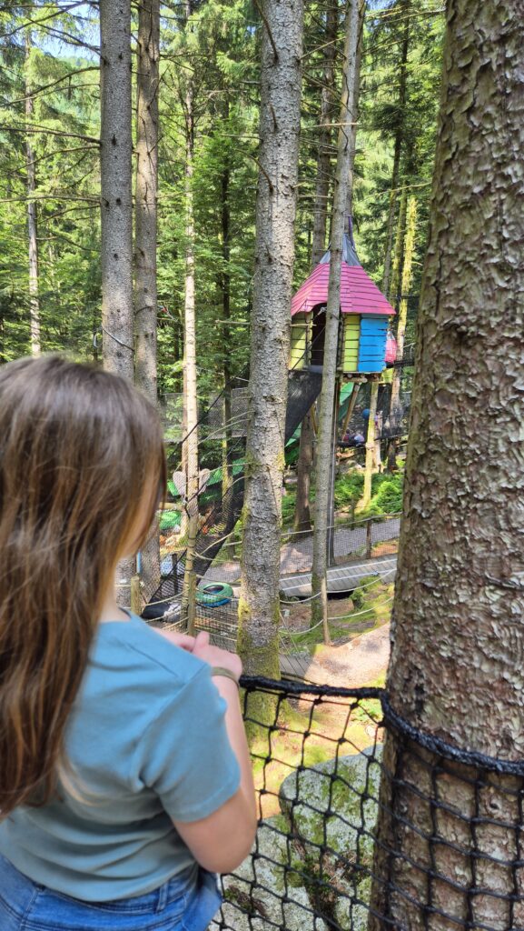 Parc Bol d'Air - Bois des Lutins - Pixelle World