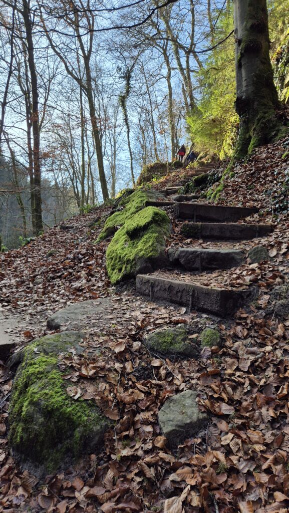 C2 randonnée Mullerthal