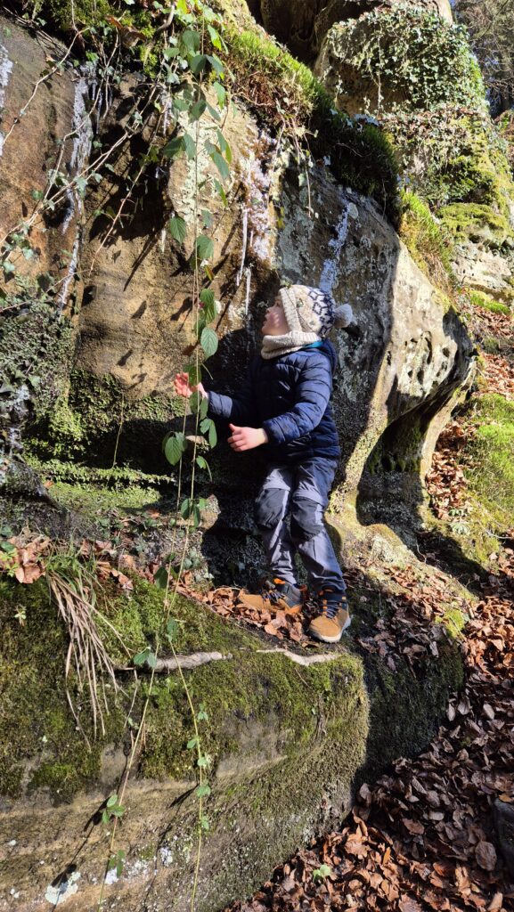 Déiwepëtz -  sentier local c2