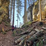 idée rando :  « Adventure Kuelscheier » en petite suisse luxembourgeoise (sentier C2)