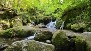 IDÉE RANDO : les cascades de Gertelbach, en Forêt-Noire.