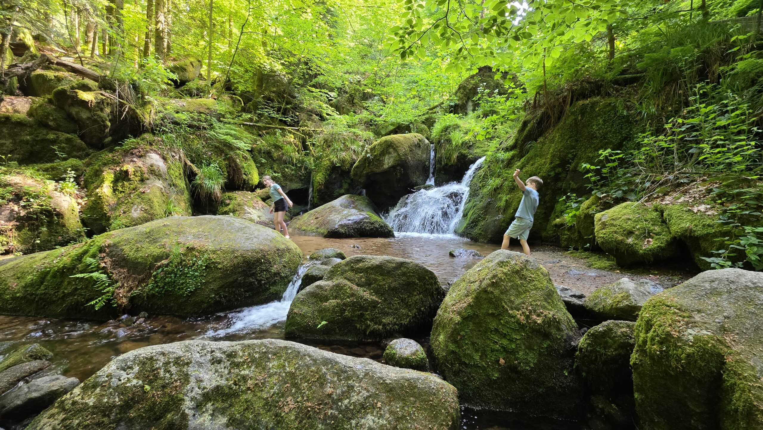 Gertelbach-Wasserfälle Allemagne